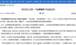 四川新闻网爆料,揭秘事件背后真相