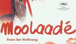 穆拉戴 在线观看,在线观看，探寻神秘东方的奇幻之旅